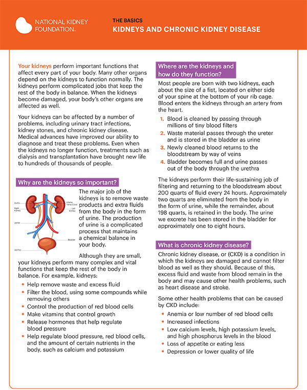 kidneys and chronic kidney disease